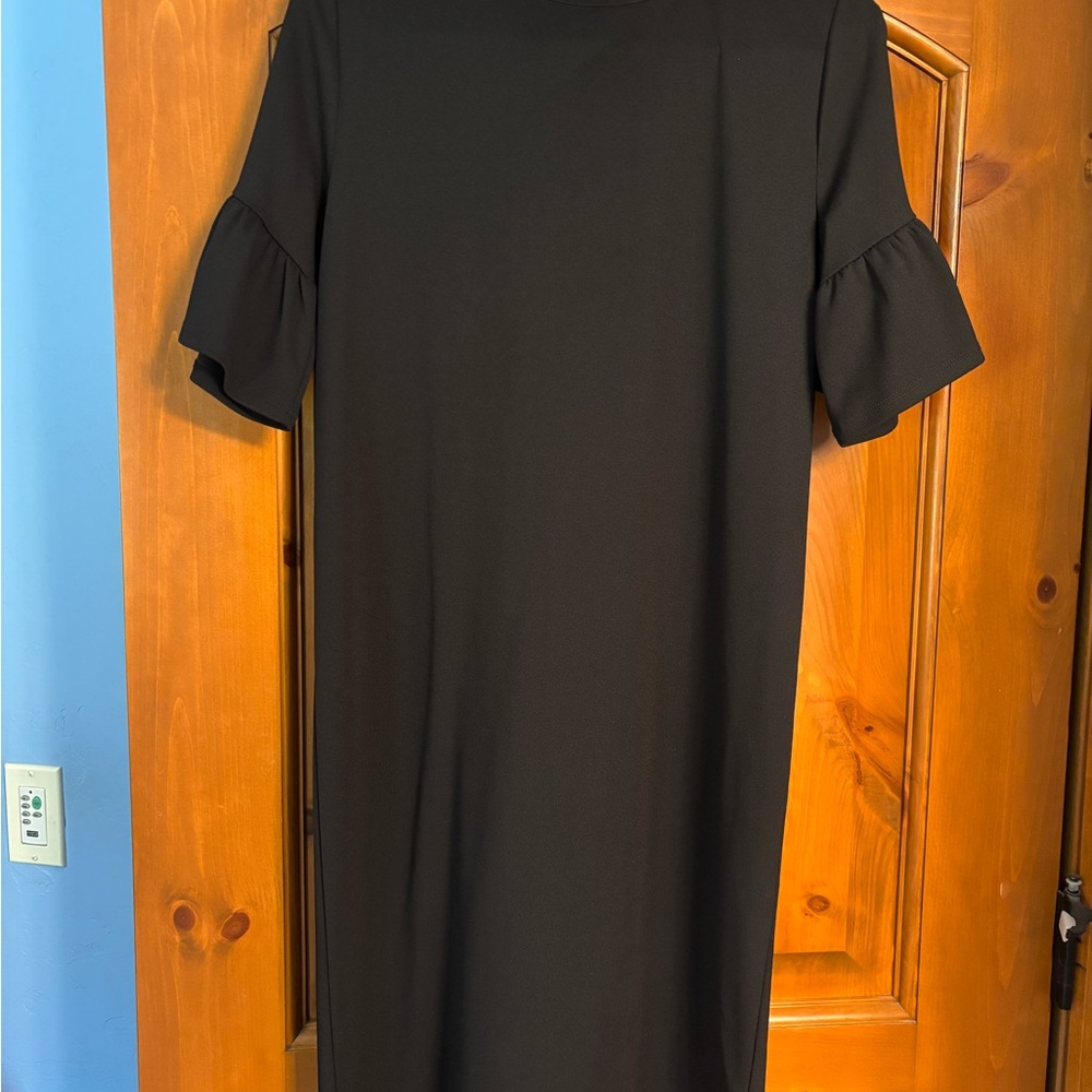 Elegant Black Ruffle Sleeve Dress